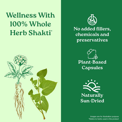 Flexibility Capsules