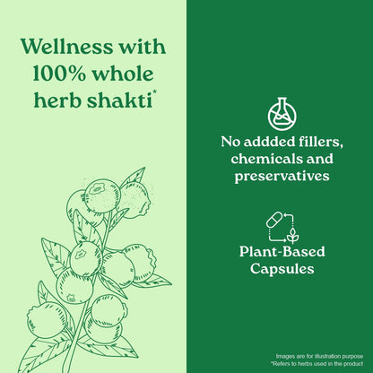 Garcinia Cambogia Capsules