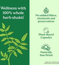 Best Neem capsules in India