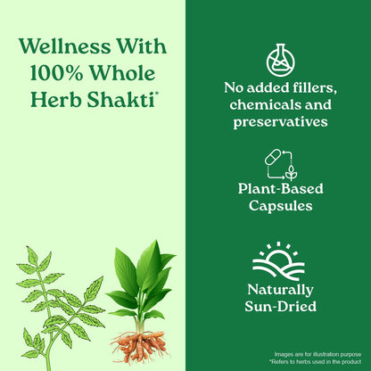 Prostate Care Capsules