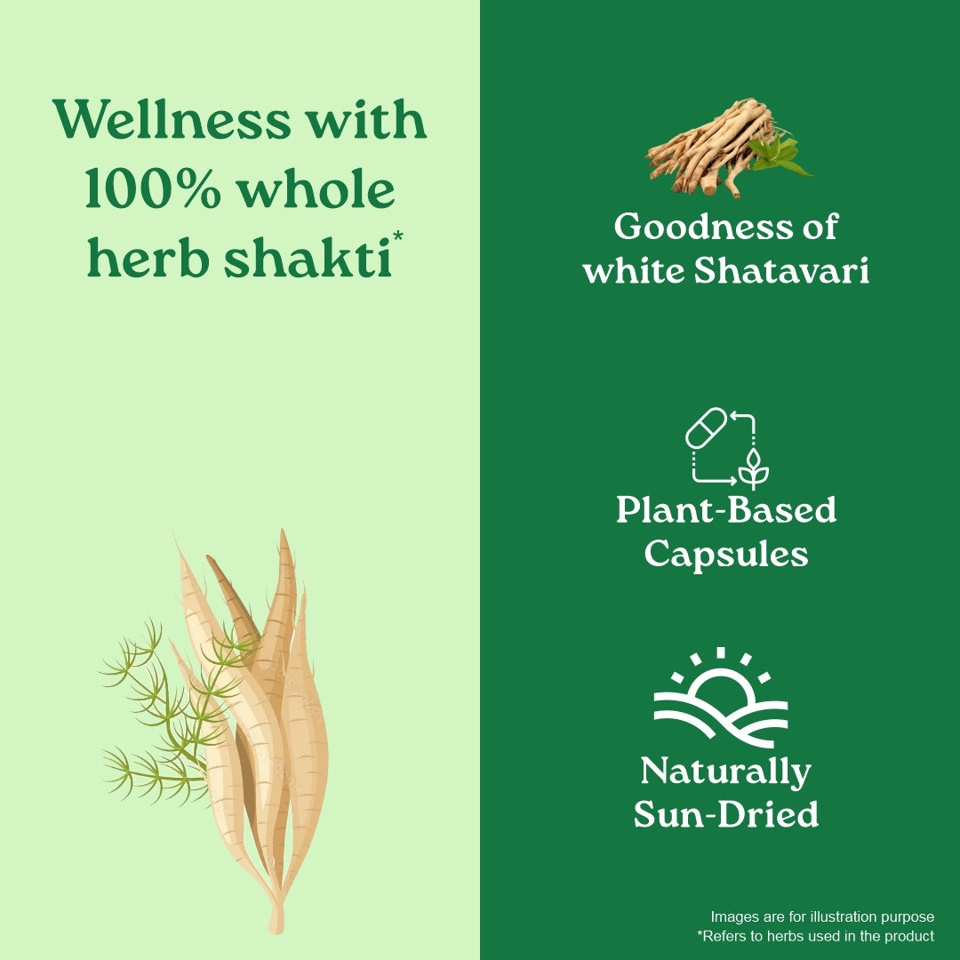 Shatavari Capsules