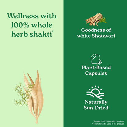 Shatavari Capsules