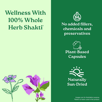 Sugar Balance Capsules