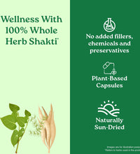 Women's Well-Being Capsules