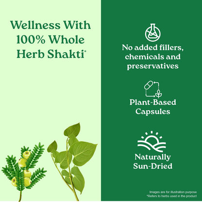 Weight Balance Capsules