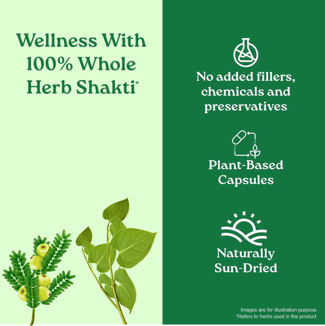 Organic India weight Balance ingredients