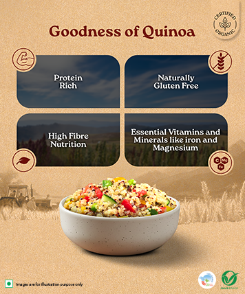 Ingredients Banner Mobile