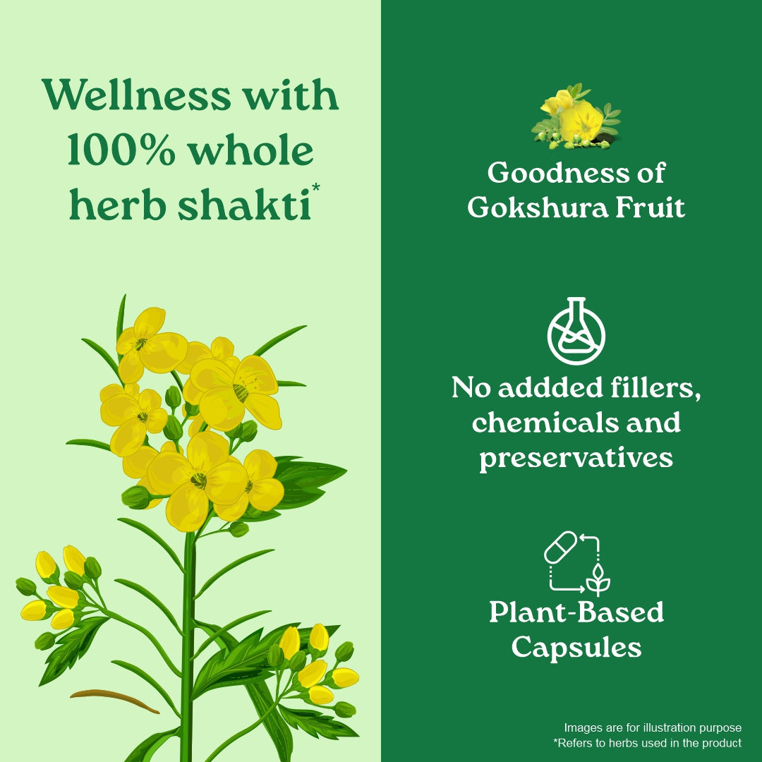 Gokshura Capsules