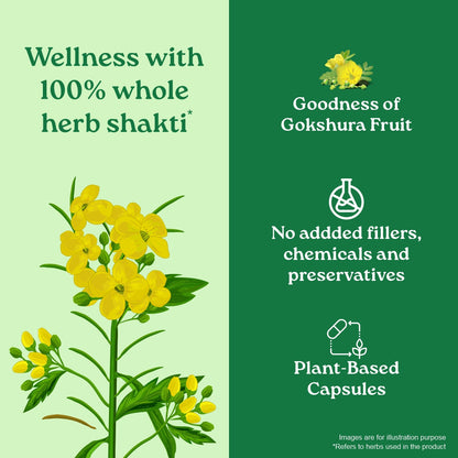 Gokshura Capsules