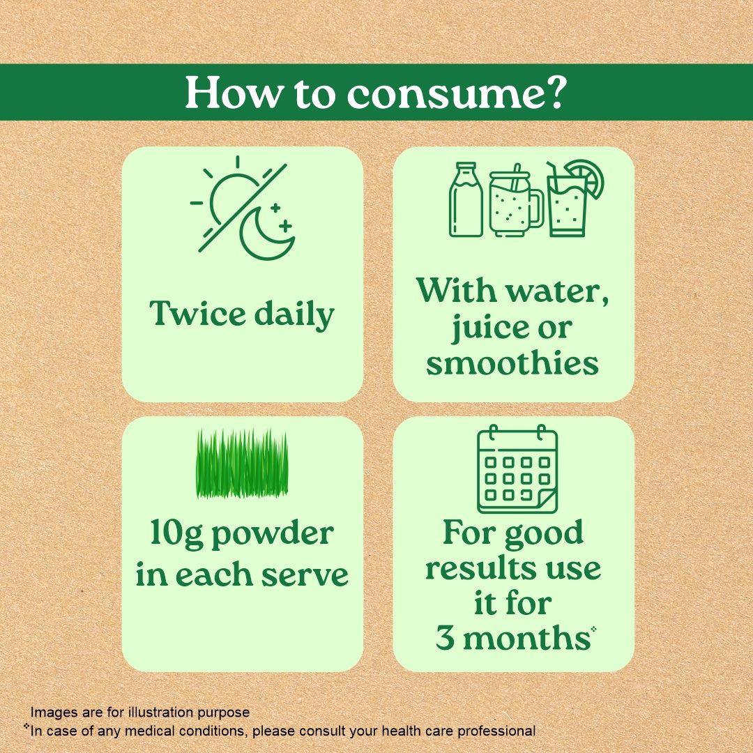 Wheatgrass powder how to use