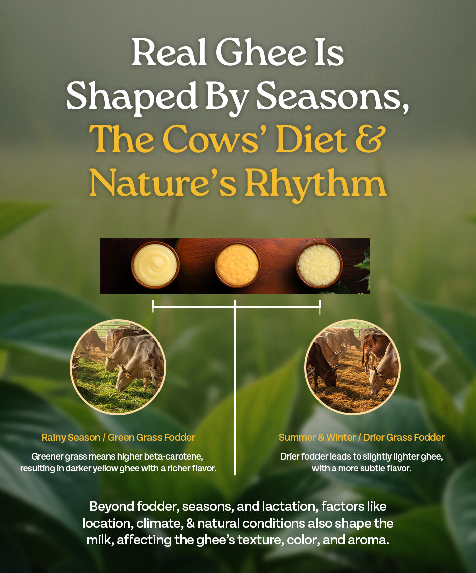 Ingredients Banner Mobile