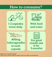 Ashwagandha for Increased Virility & Reduced Stress