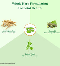 Flexibility Capsules