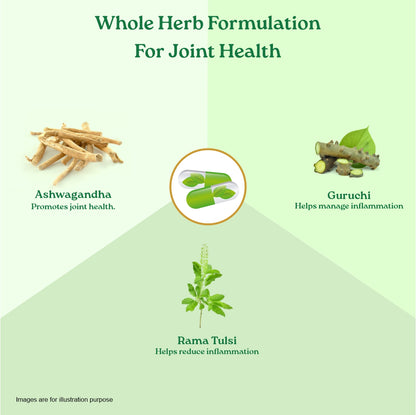 Flexibility Capsules