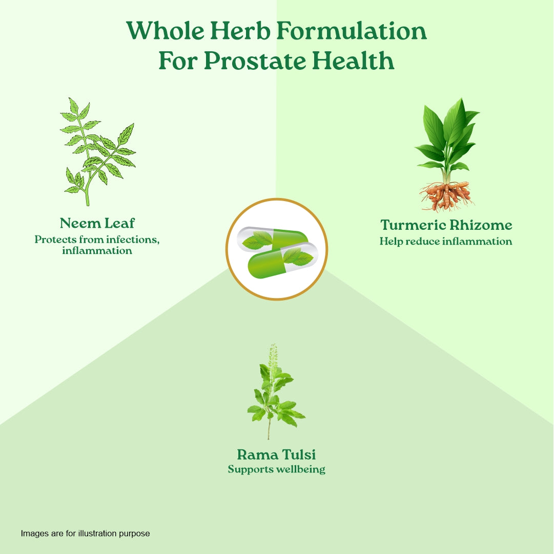 Prostate Care Capsules