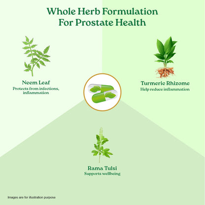 Prostate Care Capsules