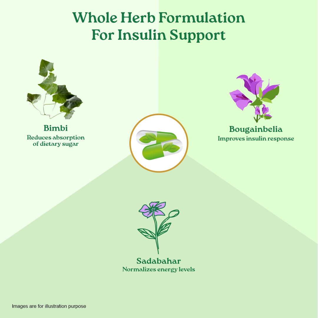 Sugar Balance Capsules