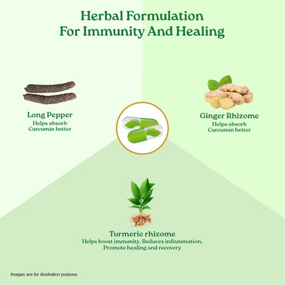 Turmeric Formula Capsules