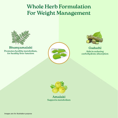 Weight Balance Capsules