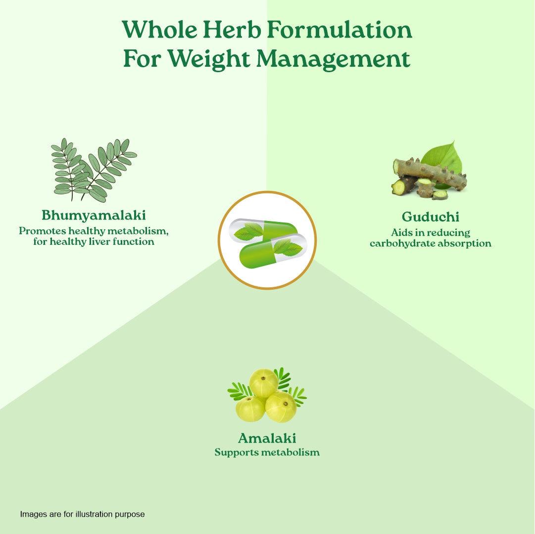 weight loss capsules