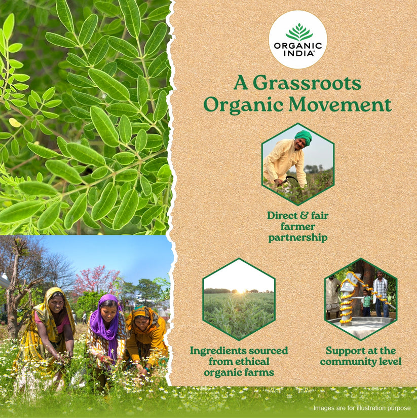 Organic Moringa Powder – Organic India