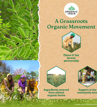 Organic Moringa Powder