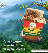 Organic Multi Floral Honey