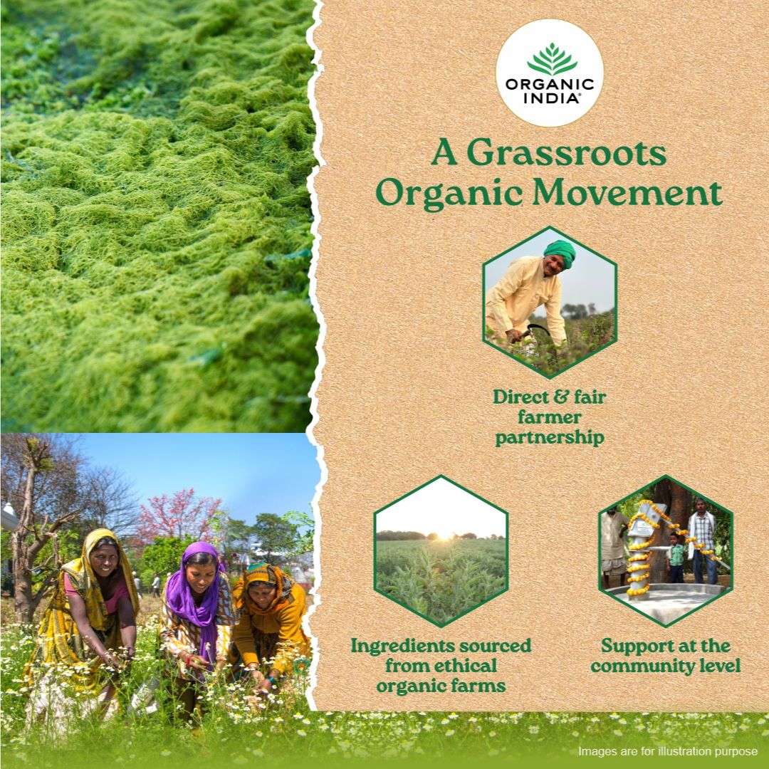 Wheatgrass powder side effects