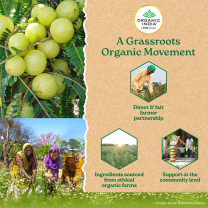 Amalaki with Vitamin C