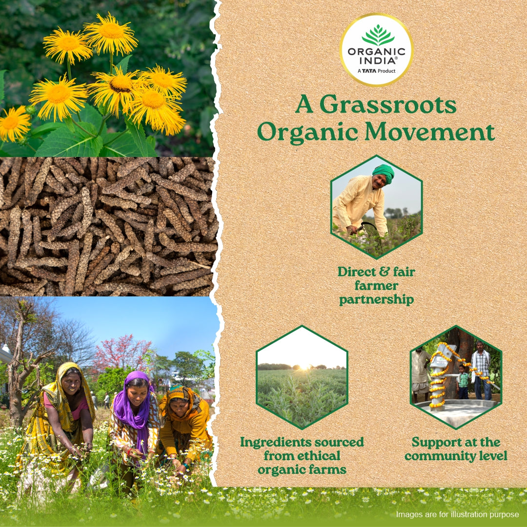 Breath Free Capsules