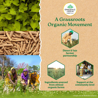 Flexibility Capsules