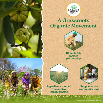 Garcinia Cambogia Capsules