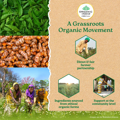 Prostate Care Capsules