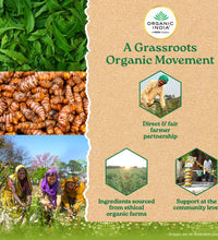 Prostate Care Capsules