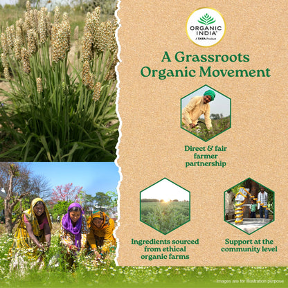 Psyllium Whole Husk Isabgol