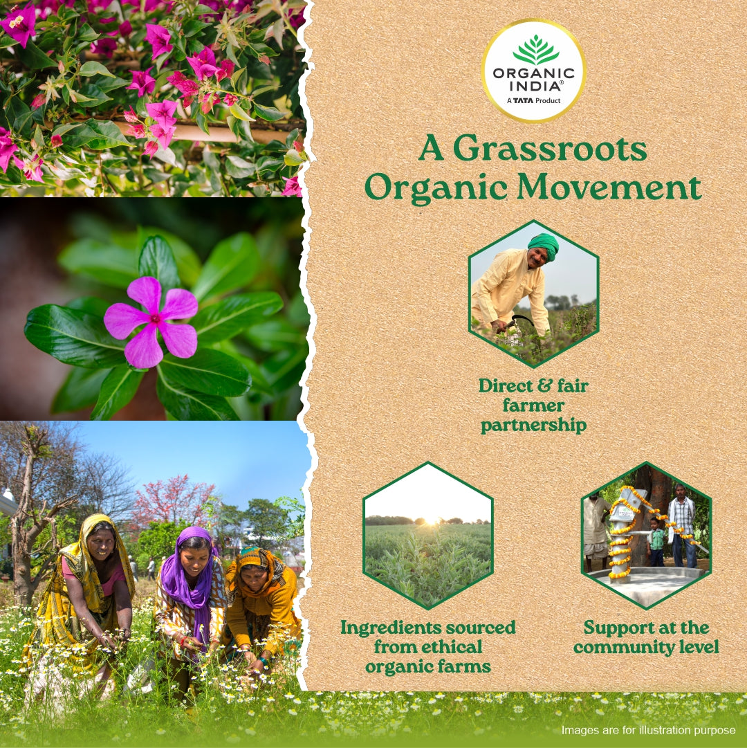 Sugar Balance Capsules