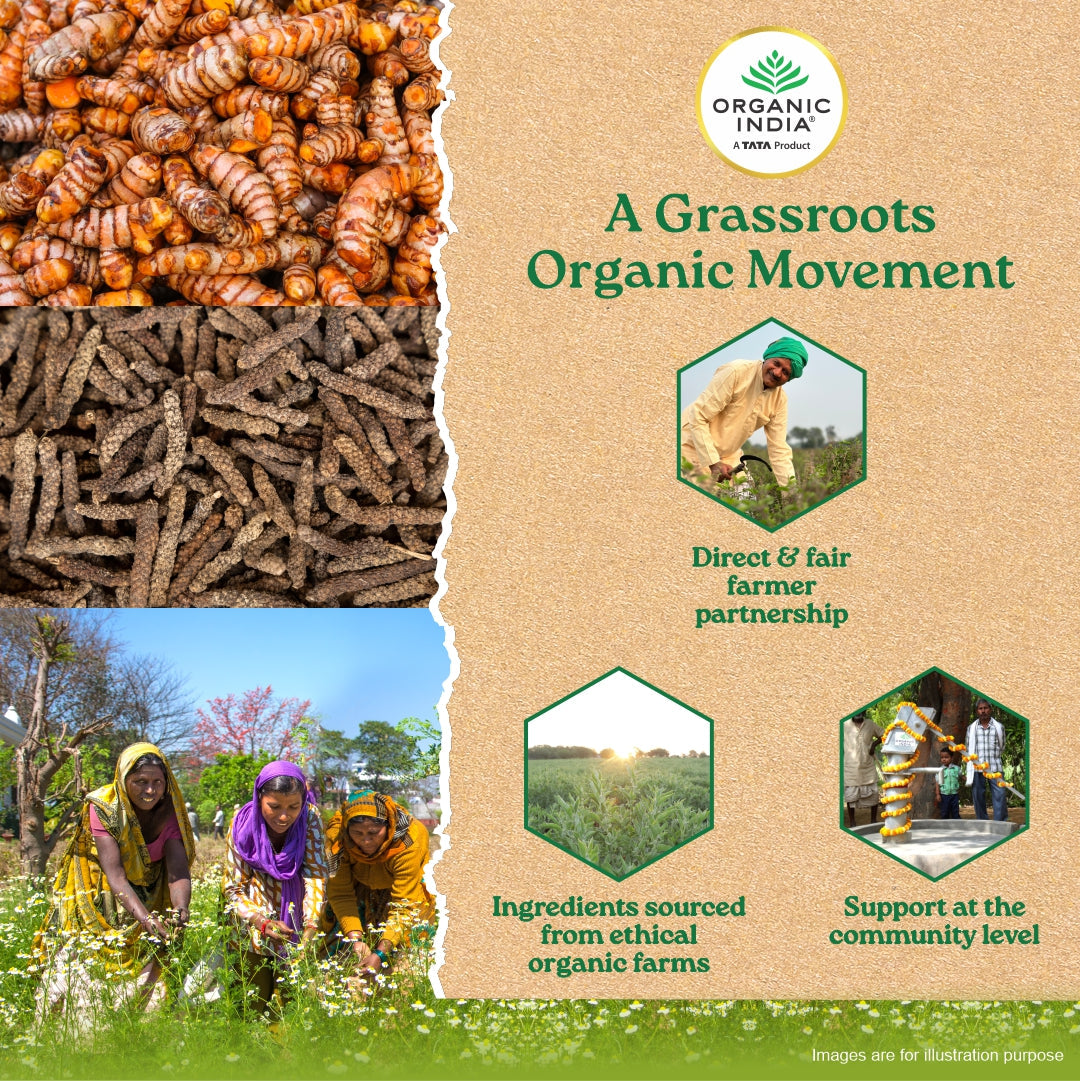 Turmeric Formula Capsules