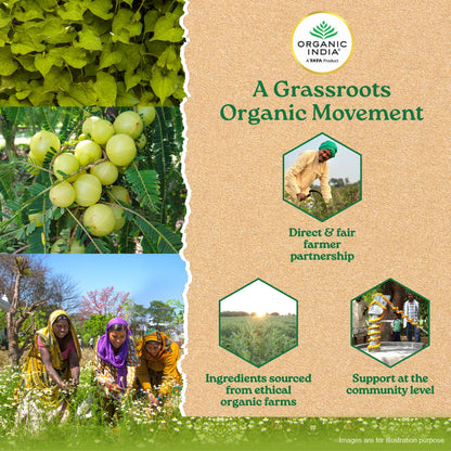 Weight Balance Capsules