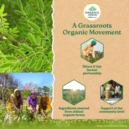 Moringa capsules uses