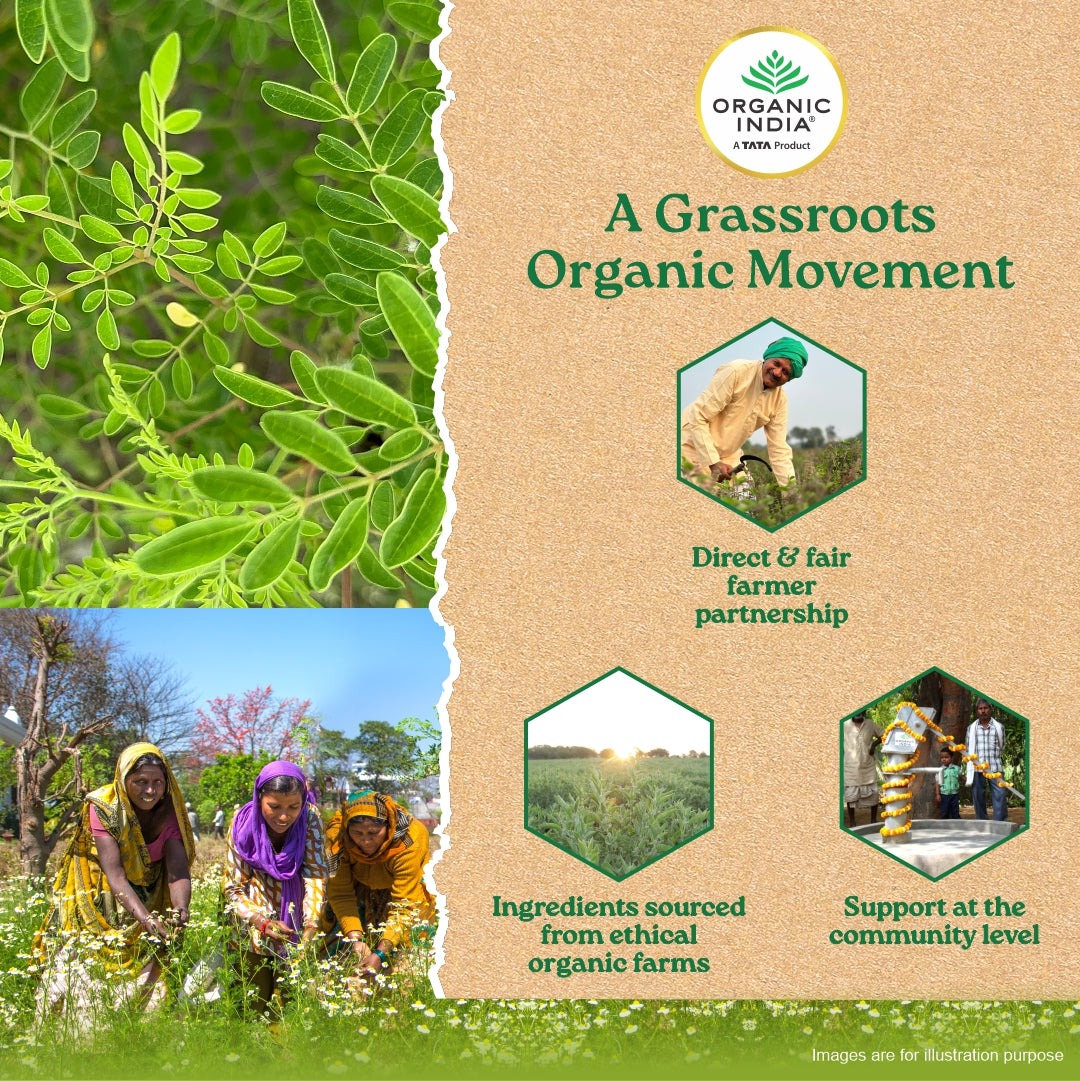 Organic Moringa Powder