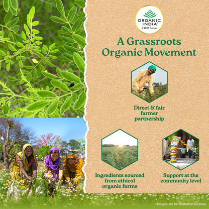 Organic Moringa Powder