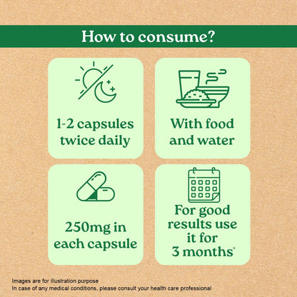 Sugar Balance Capsules