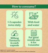 Organic India Turmeric Formula reviews