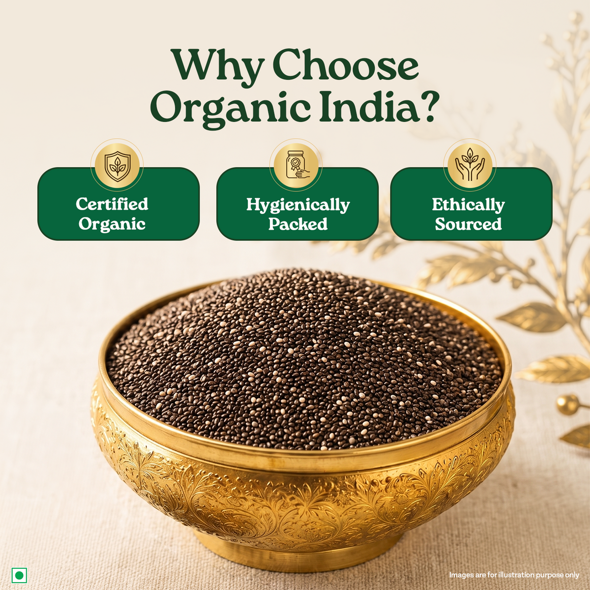 Chia Seed