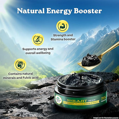 Shilajit Resin