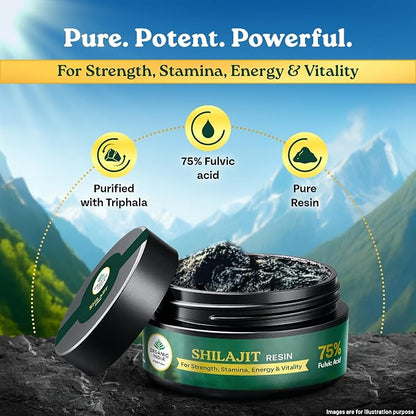 Shilajit Resin