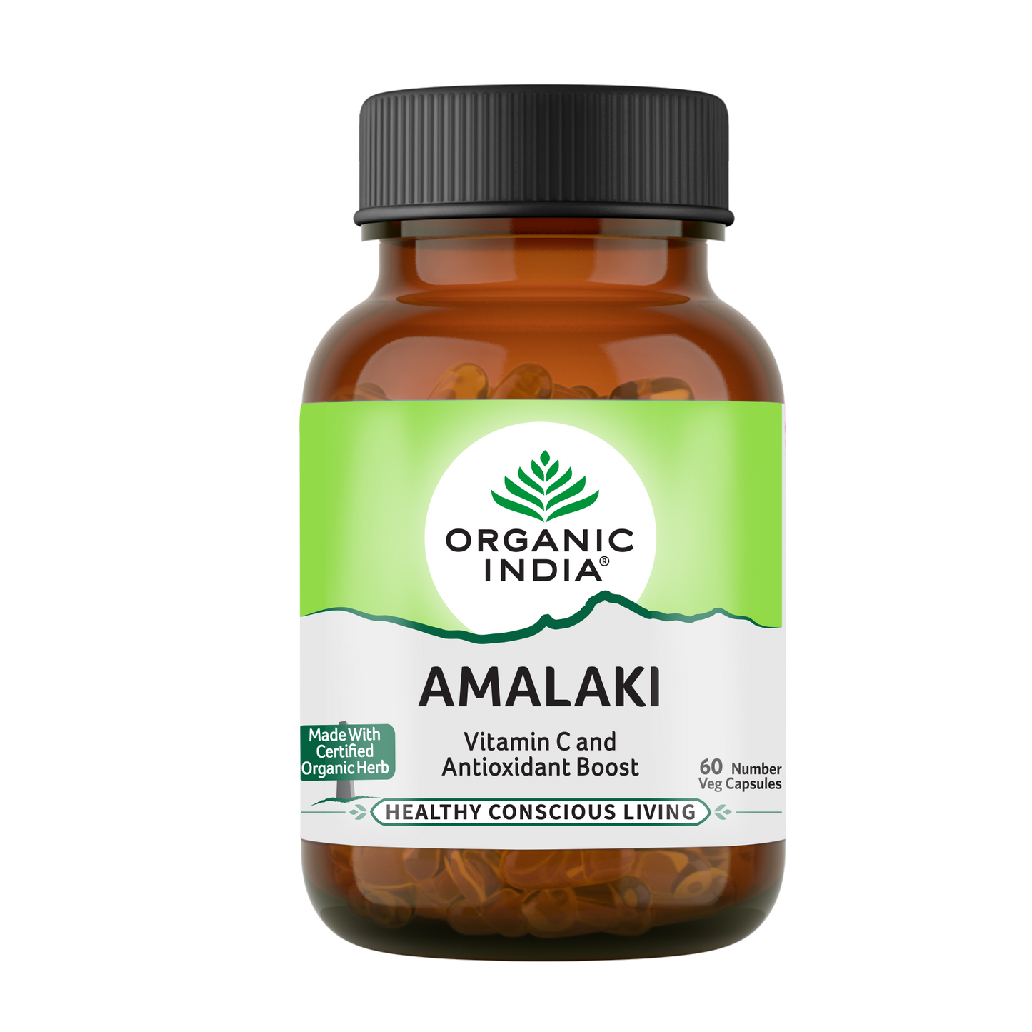 Chyawanprash & Amalaki capsules Combo