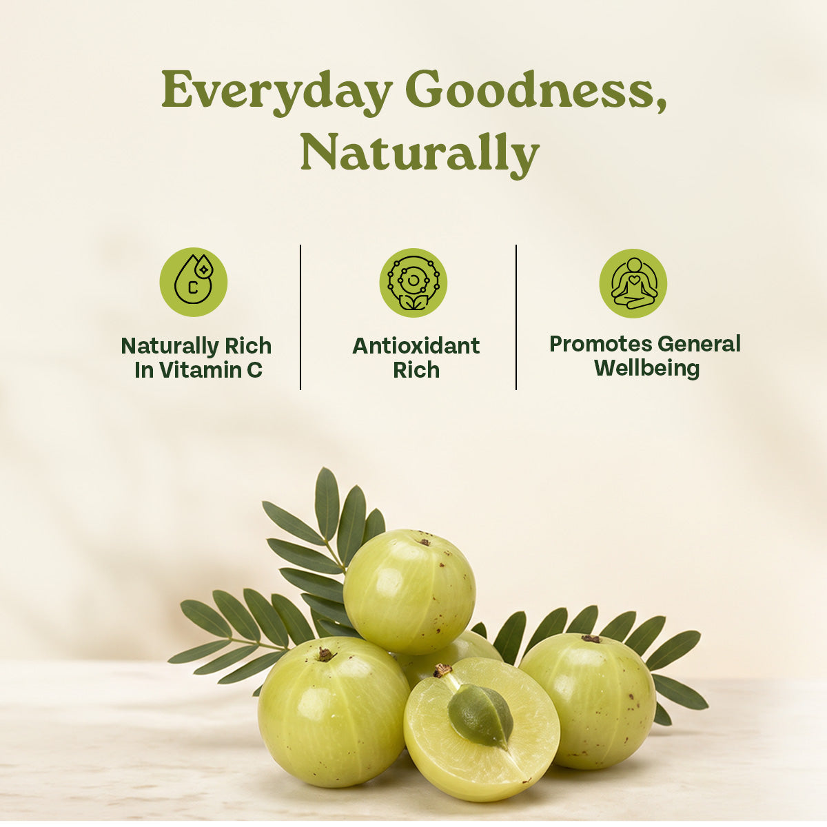 Organic Amla Powder