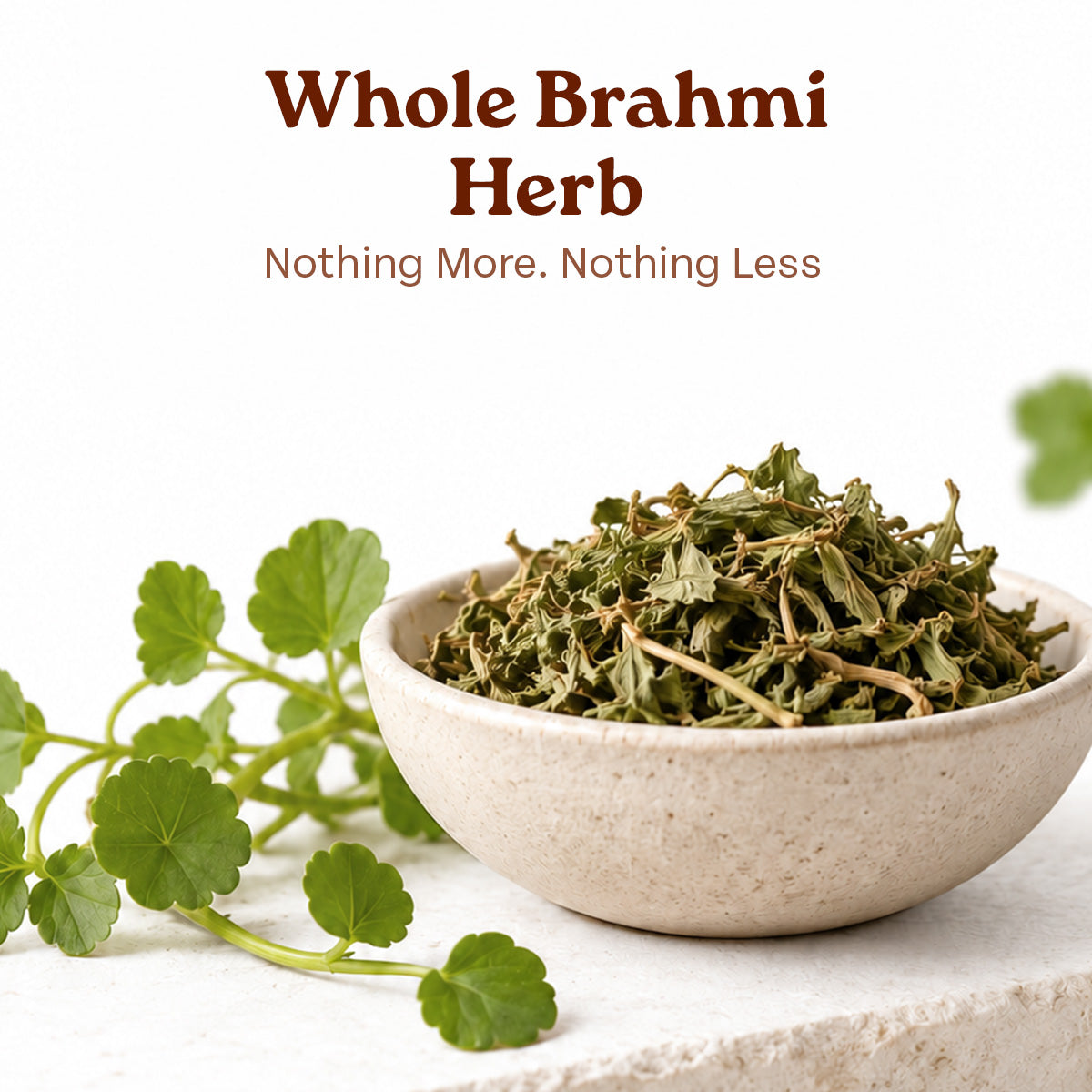 Organic India Brahmi Capsules Made with Whole Brahmi Herb