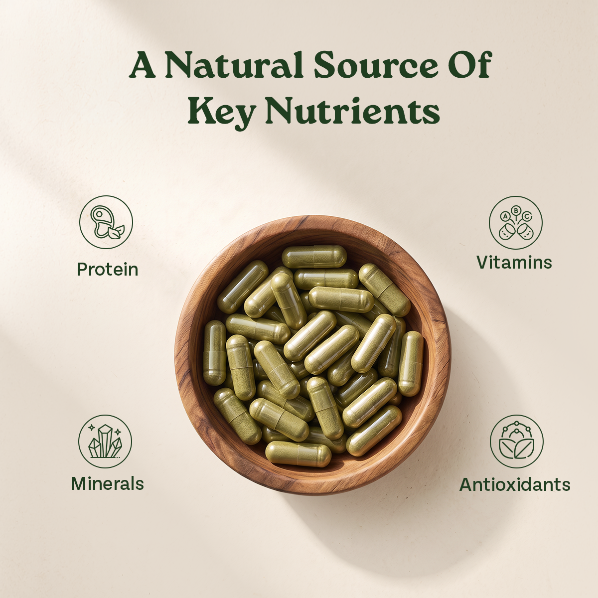 Organic India Moringa Capsules as a Natural Source of Key Nutrients